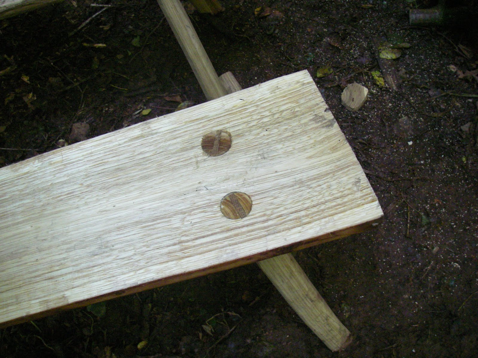Cornish Woodland Our first green woodworking course