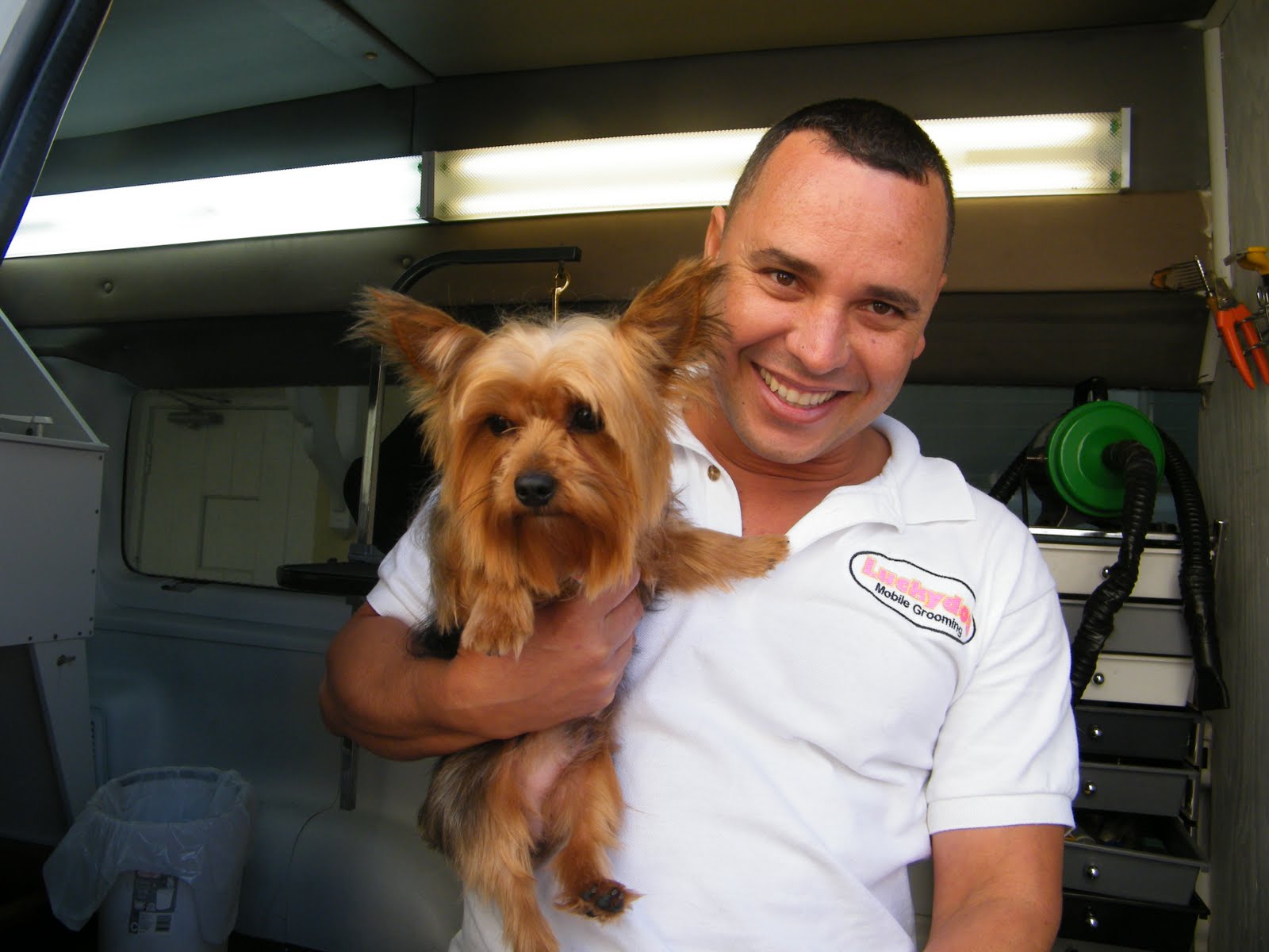 Mobile Dog Grooming the best dogs for apartments