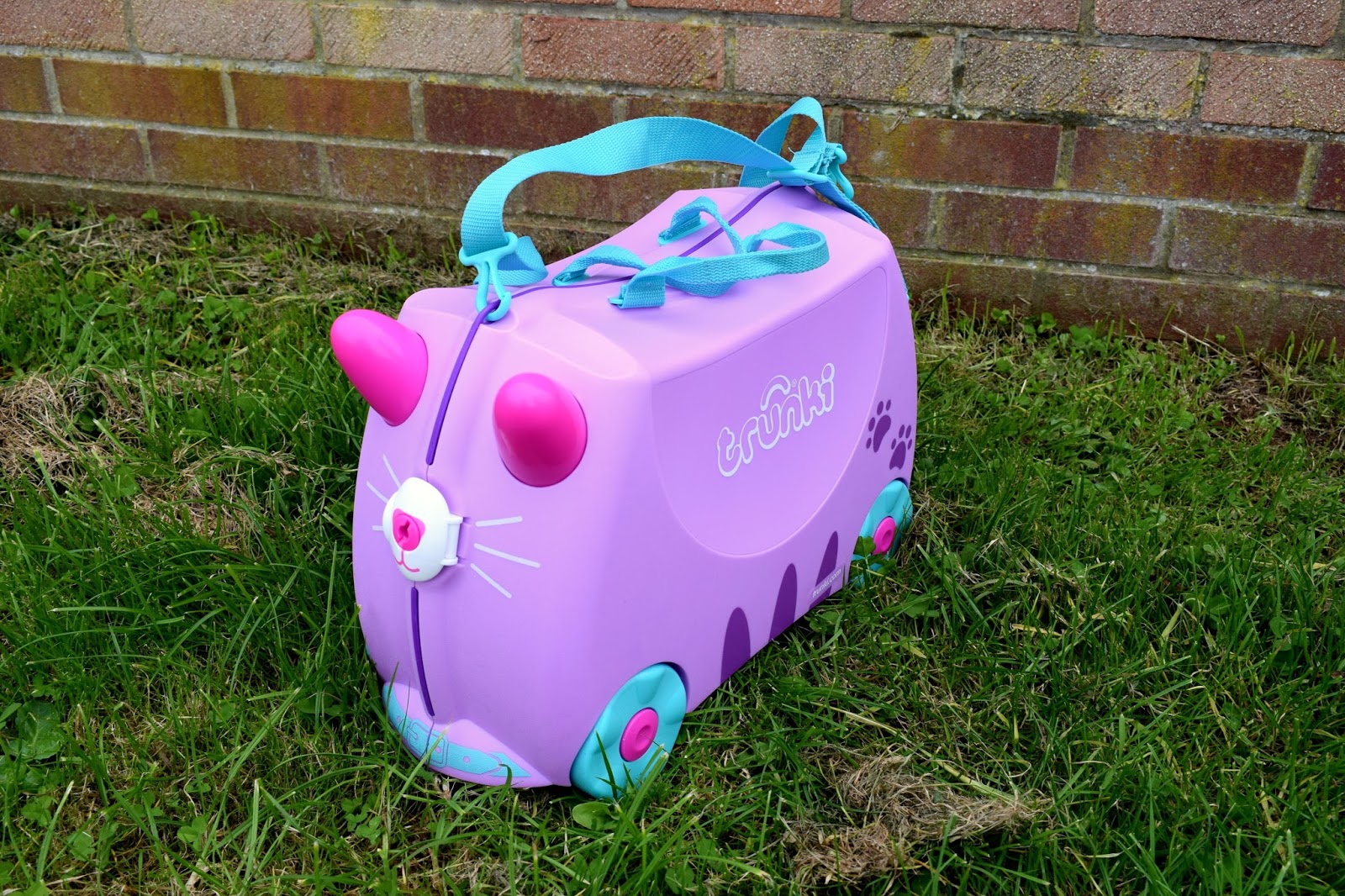 trunki cassie the cat