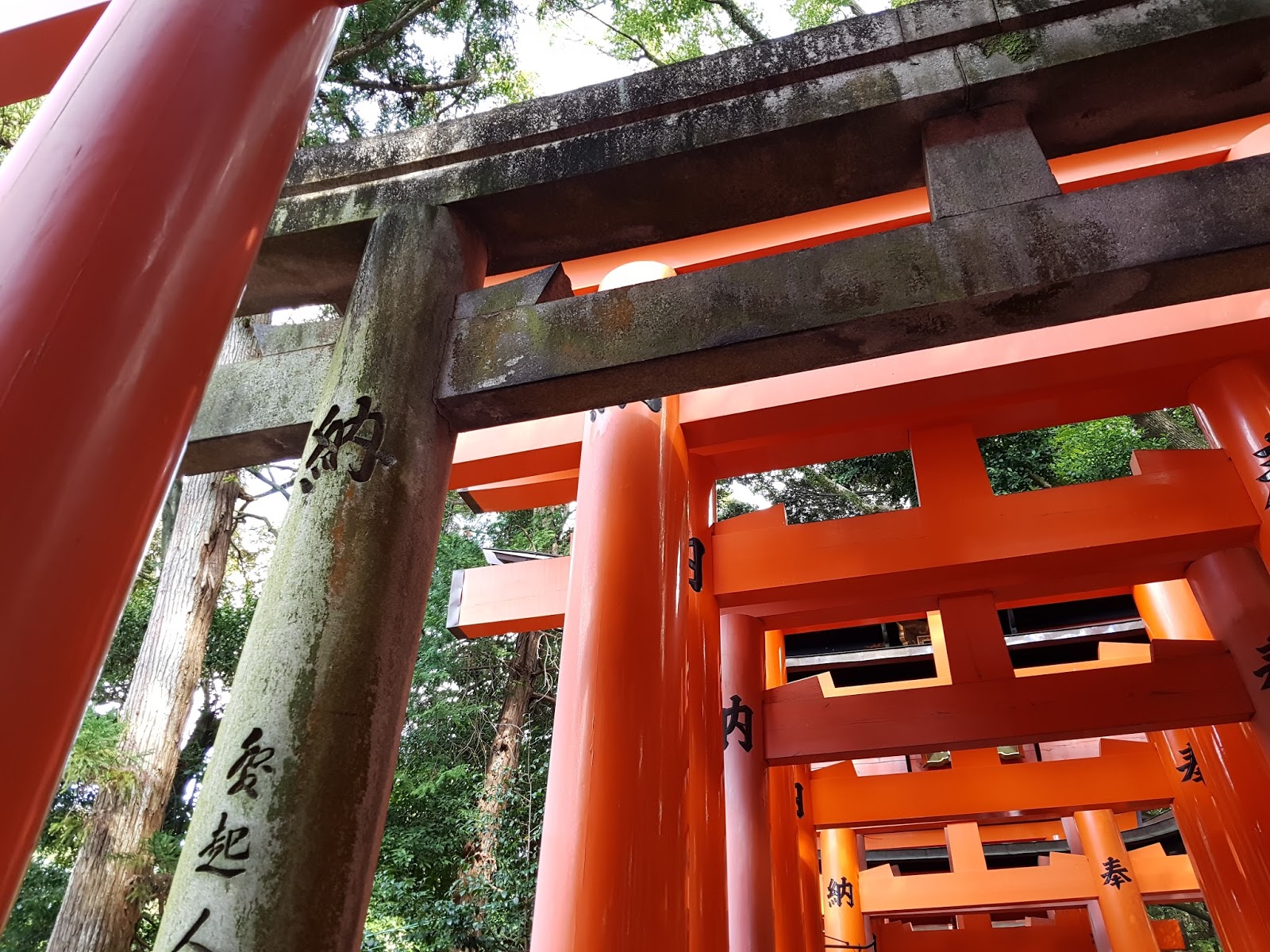 Fushimi Inari Stone Torii Fushimi Inari Stone Torii