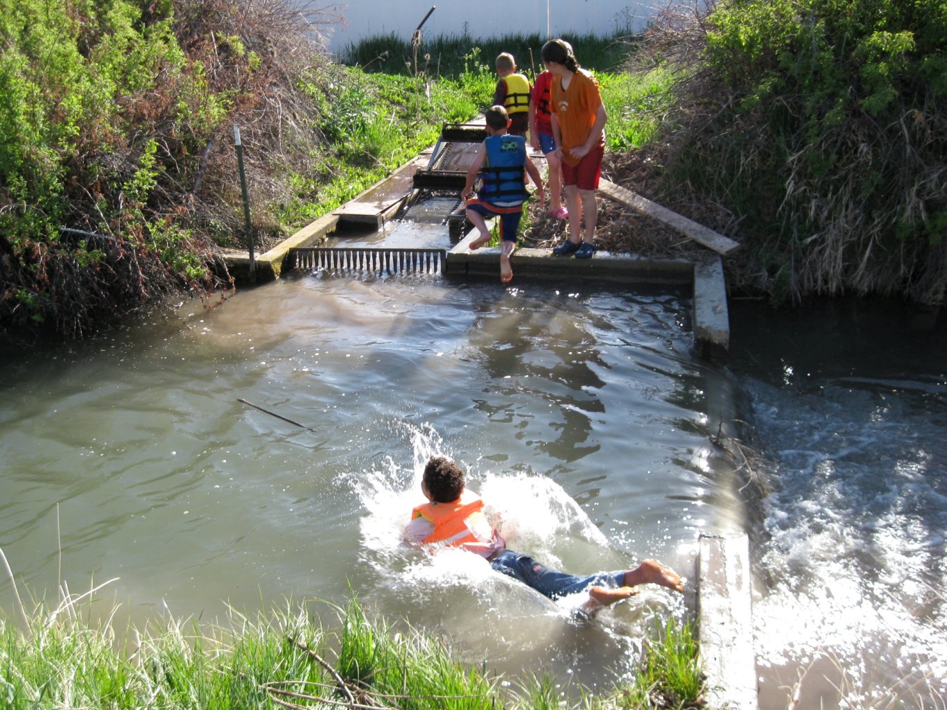 A Little Peace in Paradise Swimming in the Canal
