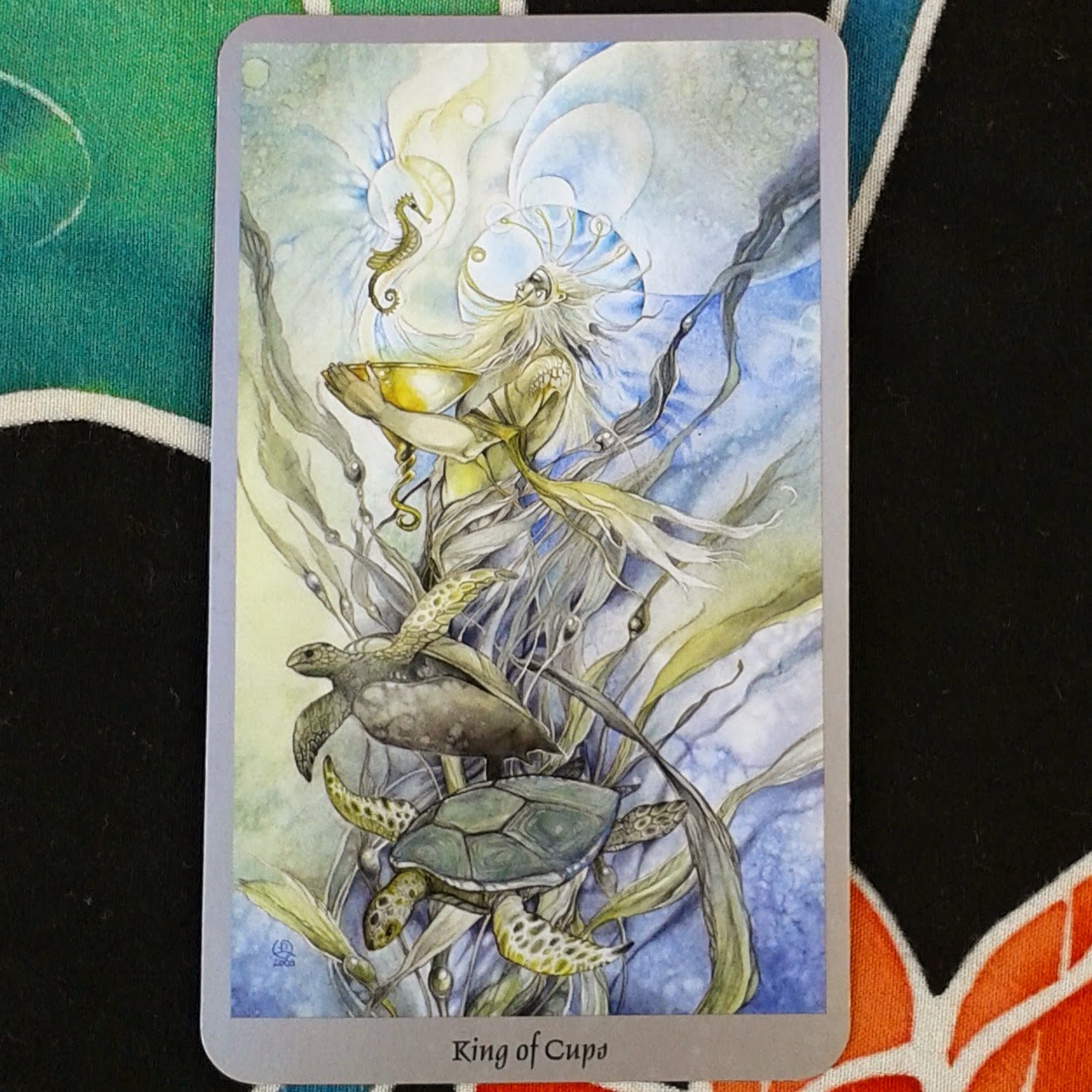 Nourish and Flourish with Fiona New Moon Aquarius Herbal Tarot Card no 3