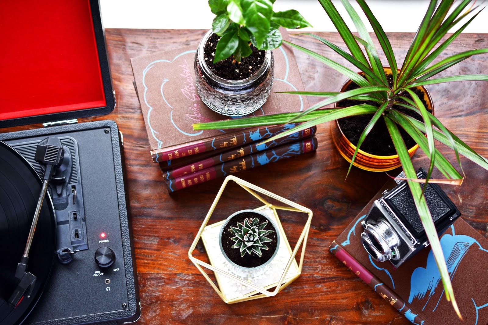 Woman in Real Life DIY Terrarium Made With a Candle Jar & A Jewelry