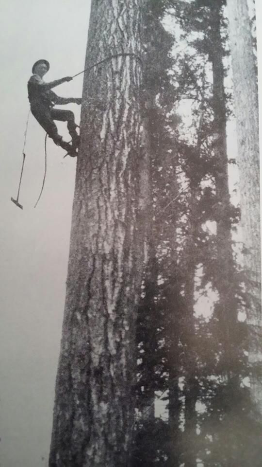 Glengarry Pioneer Museum Featured Artifacts Featured Artifact