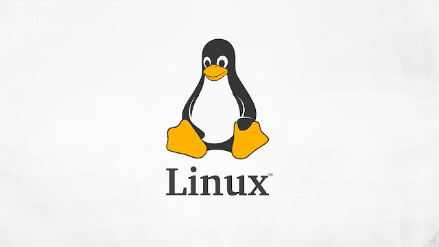comm command, Linux Tutorial and Material, LPI Learning, LPI Certifications