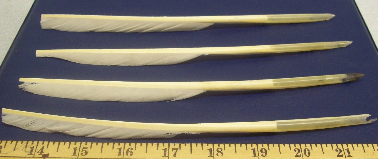 Chemung County Historical Society Brief history of pens