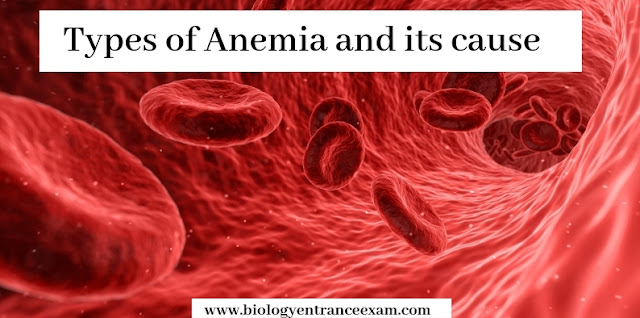 Types of Anaemia and its cause