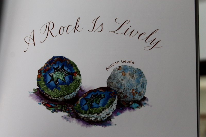 Books and Umbrellas A Rock is Lively by Dianna Hutts