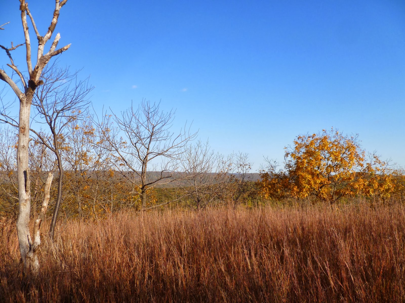 B. Avery Syrig: A Visual Adventure: Fall Color on Breakneck Ridge
