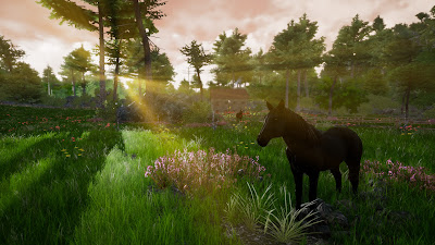 Horse Riding Deluxe 2 Game Screenshot 7