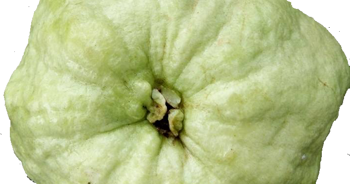 i heart comfort sandals