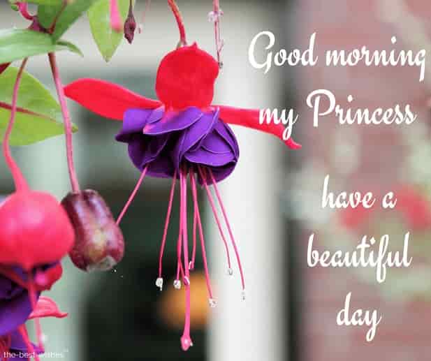have-a-beautiful-day-princess have a beautiful day princess