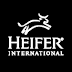 5 New Jobs at Heifer International - Tanzania