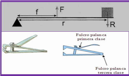 TAREAS ESCOLARES