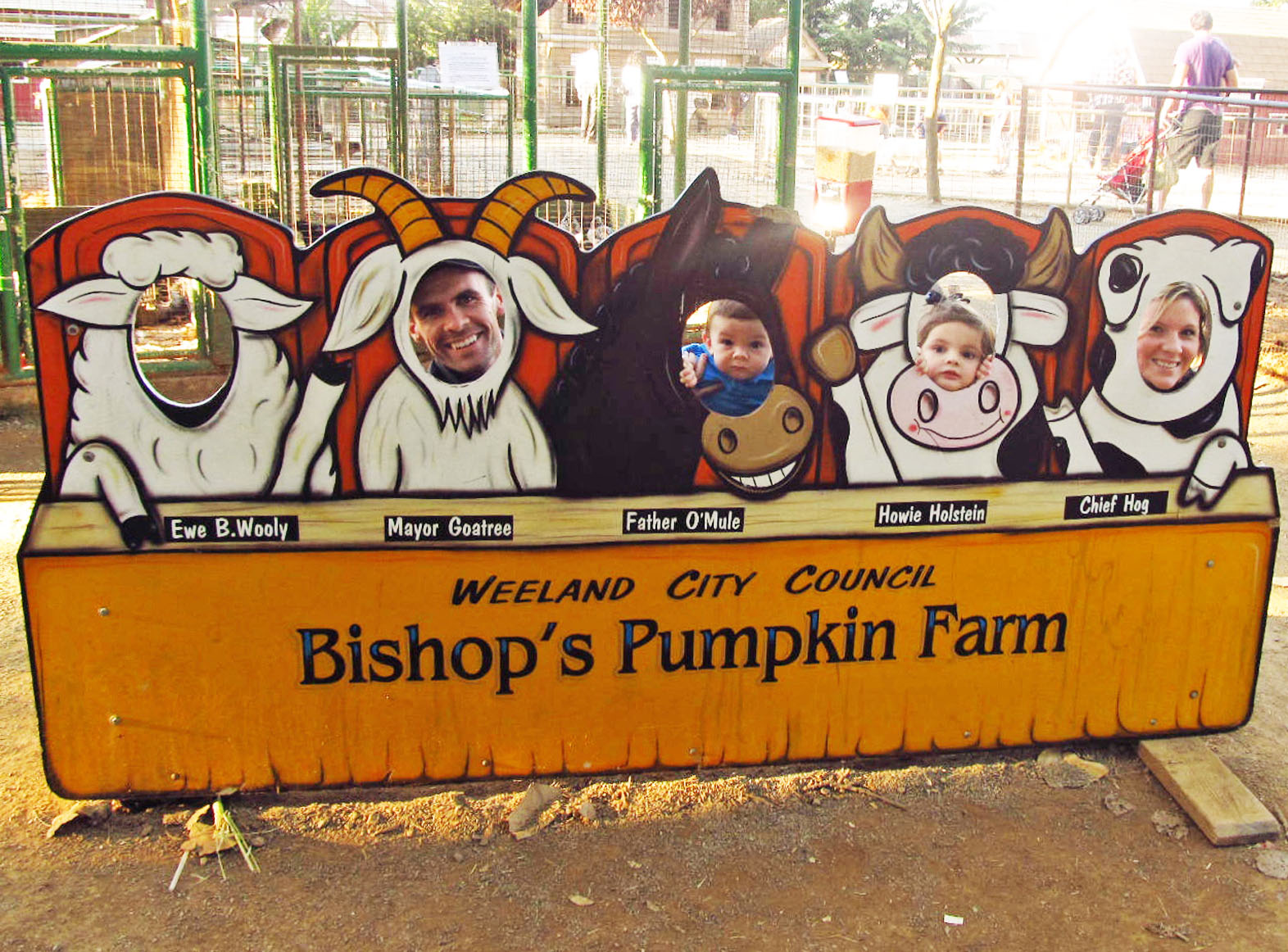 MeTCaLF MaNia Pumpkin Farm