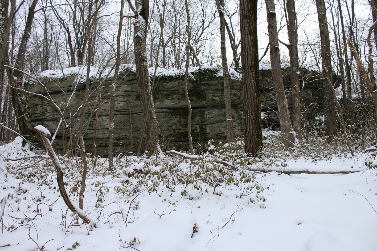 Panther Rocks, Moshannon State Forest near SB Elliott State Park