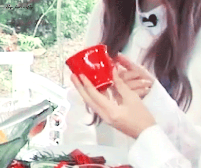 슬기의 고치지 못한 버릇 제지하는 아이린 (ft. 반전).gif | 인스티즈