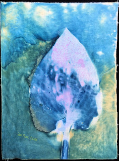 Wet cyanotype_Sue Reno_Image 353
