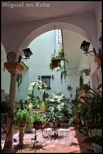 Sanlúcar-Patio-Andaluz