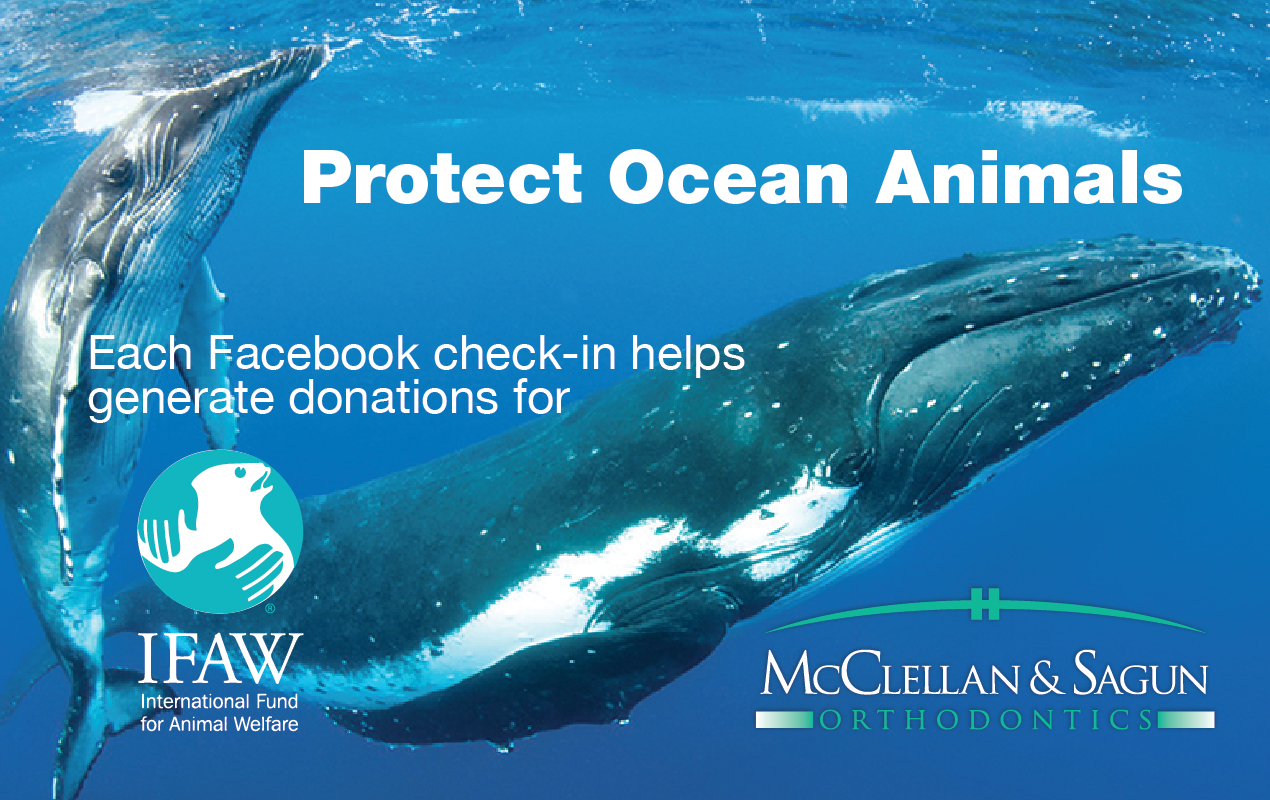 McClellan Orthodontics August 2018 mcclellan-orthodontics-august-2018