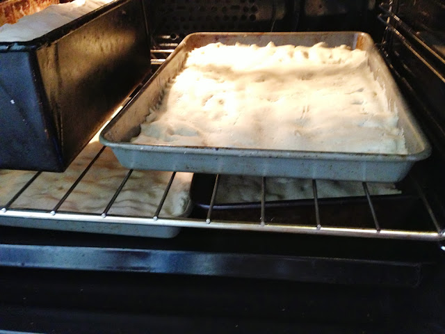 pizza dough - leave to rise