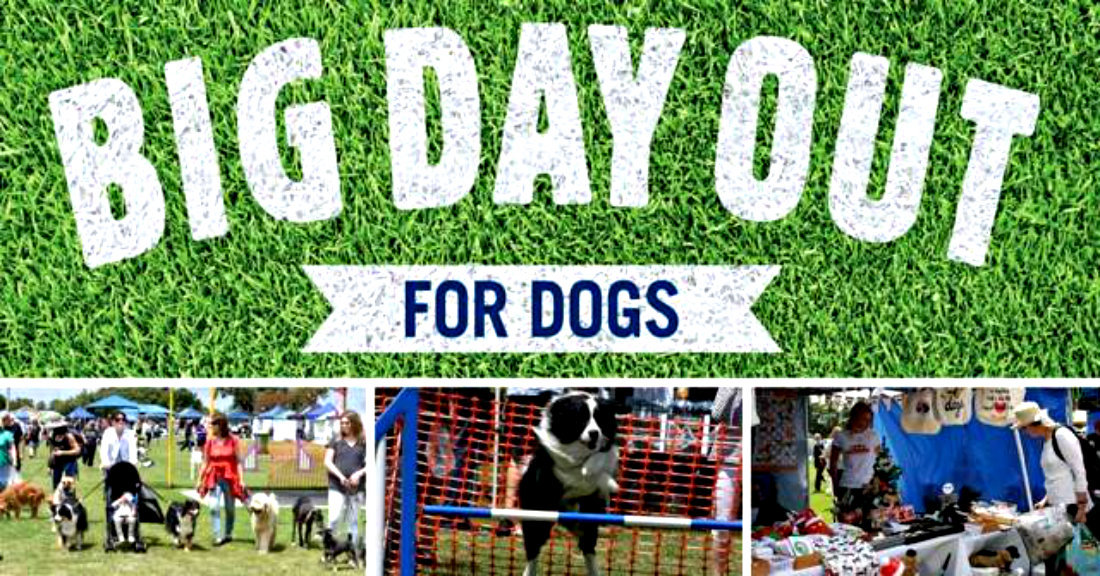Dogs Victoria Canine Christmas Market December 10 Australian Dog Lover