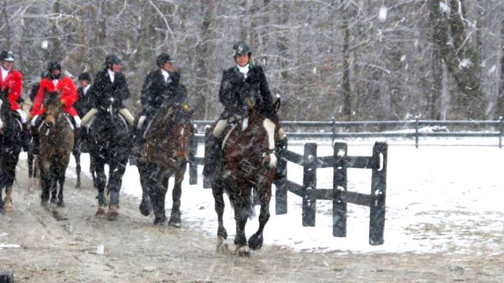 Glossary of equestrian terms