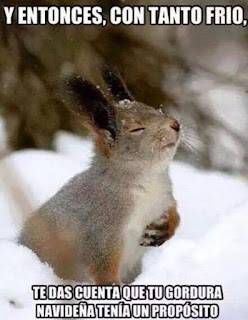imagenes chistosas de frio graciosas