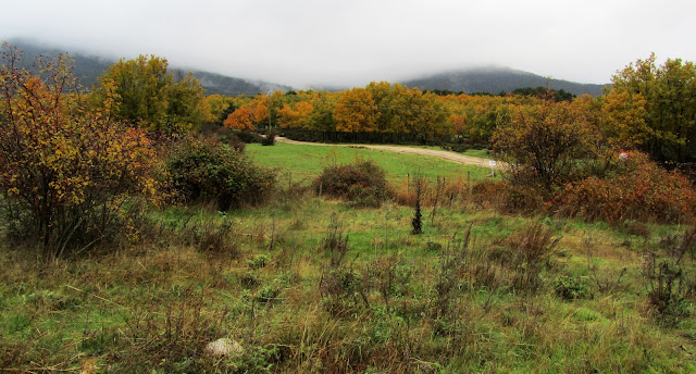 Preventorio de San Rafael - AlfonsoyAmigos