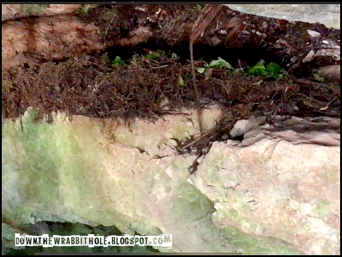 Down the Wrabbit Hole The Travel Bucket List Exploring Rat's Nest