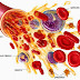 Proteínas Plasmaticas