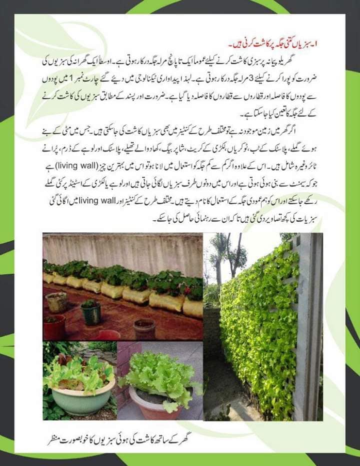 Kitchen Gardening How to Grow Vegetables & Fruits at Home Guide in