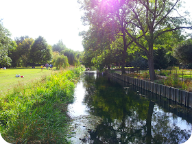 canterbury, green summer park