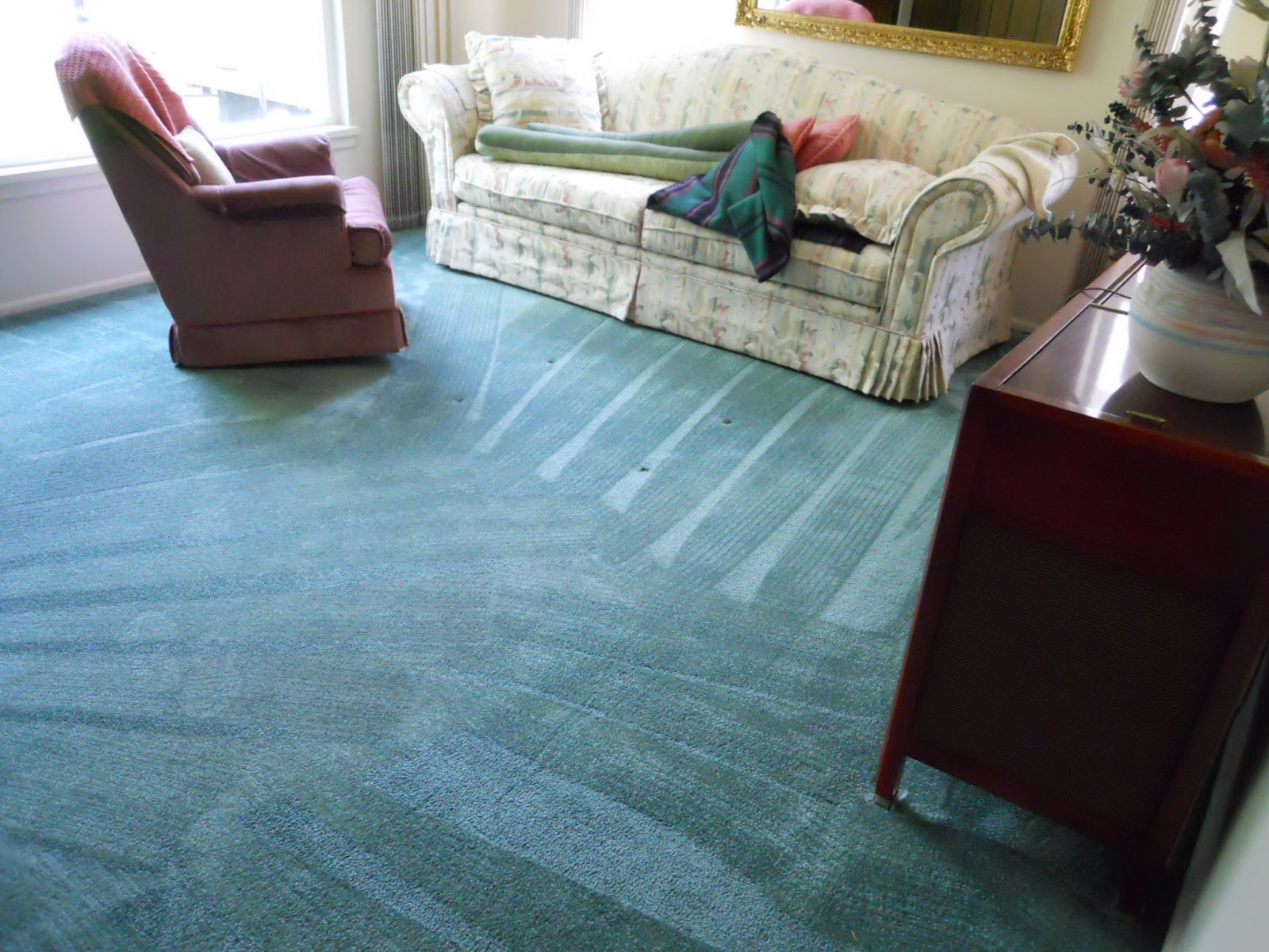 Alpine Professional Carpet Care CARPET CLEANING IN SALT LAKE CITY UTAH