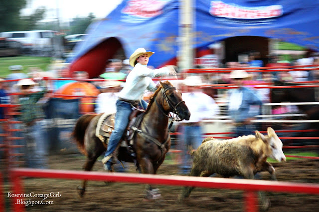 Cowgirl on her horse trying to rope a calf at the Bold Enough Challenge Rodeo by Rosevine Cottage Girls