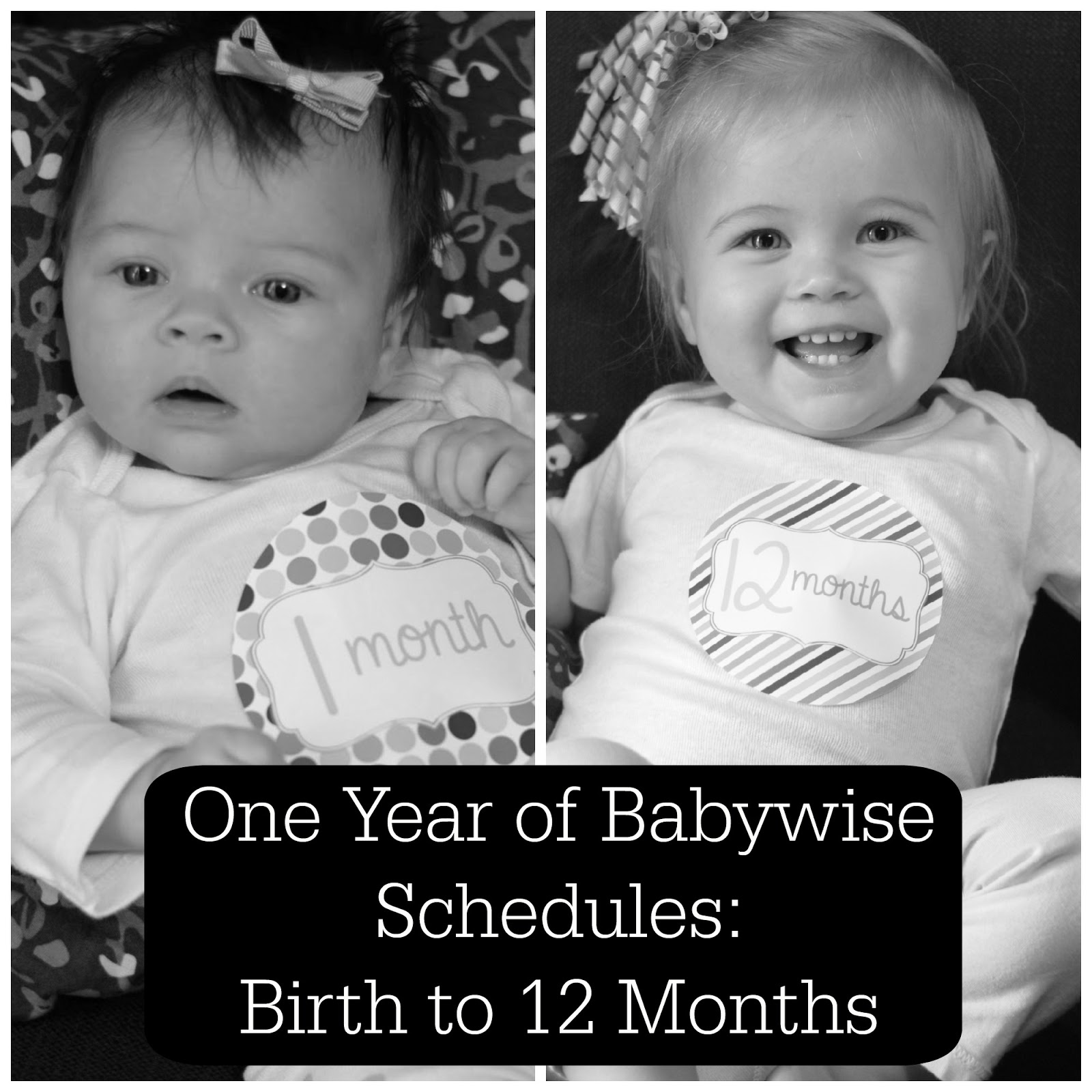 babywise 12 month schedule