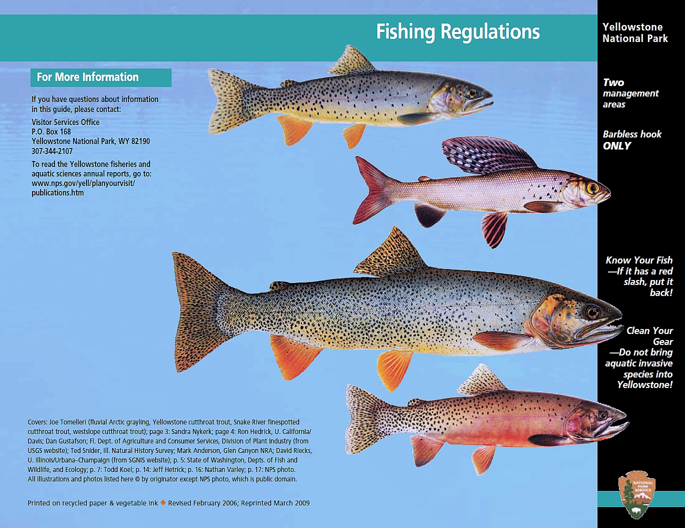 Fly Fishing In Yellowstone National Park The Good, The Bad, & The Ugly