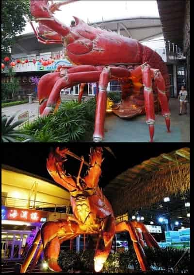 Johor Amazing Stories- Danga Bay giant lobster's photos