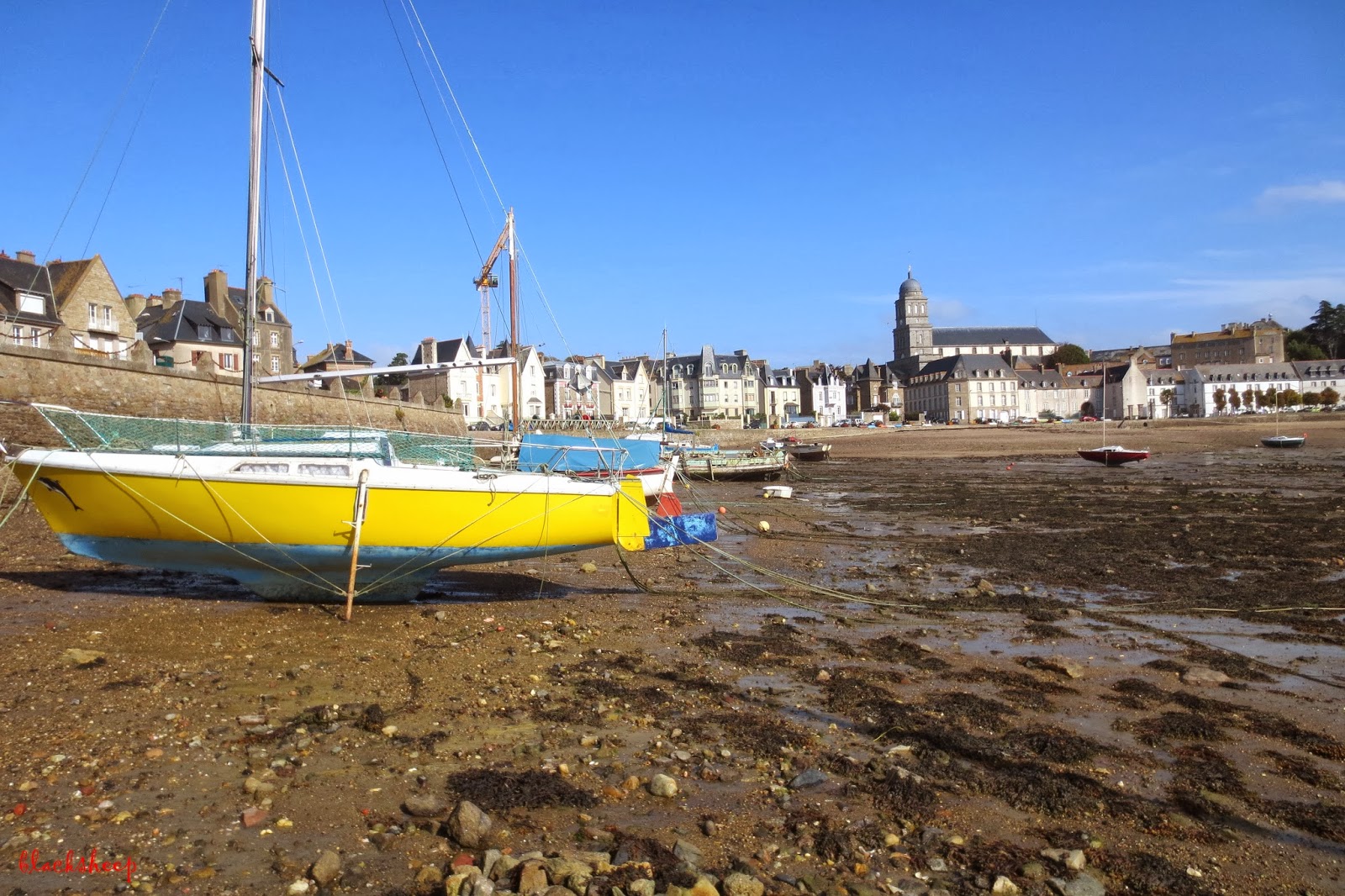 Blacksheep's bit of the Web SaintMalo