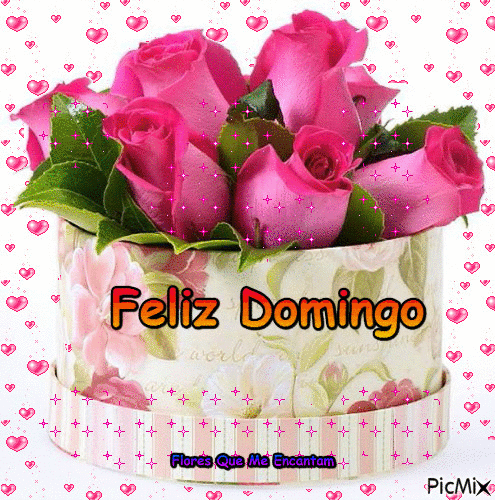 feliz%2Bdomingo%2Bcon%2Brosas%2By%2Bmovi