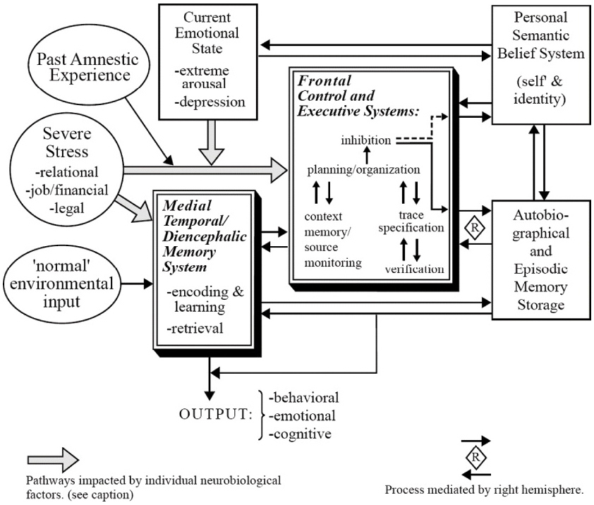 The Neurocritic WritingInduced Fugue State