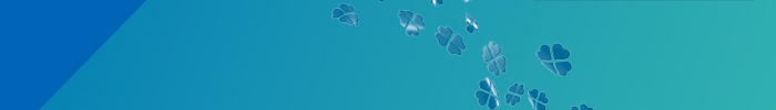 Logo da Quina