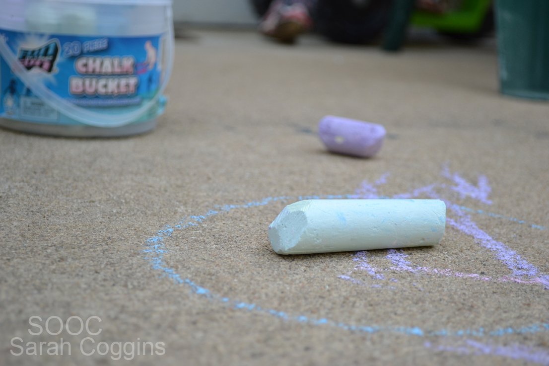 Shoot and Edit Chalk Drawings 2paws Designs