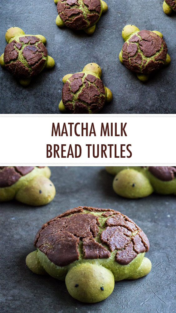 Matcha Milk Bread Turtles Matcha Milk Bread Turtles