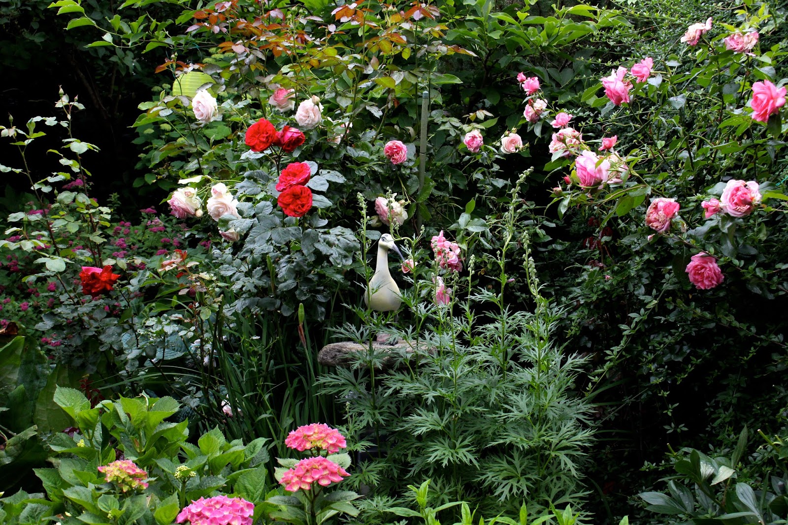 Mary behind the lens Omas Garten