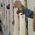 Mutirão carcerário liberta 76 detentos de prisão da Lava Jato