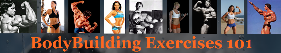 BodyBuilding Exercises 101