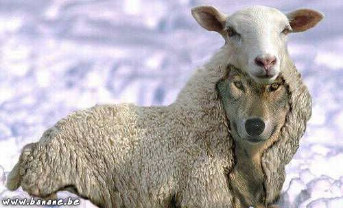 Dieu et moi le nul sans Lui: « Écoutez ! Je vous envoie comme des