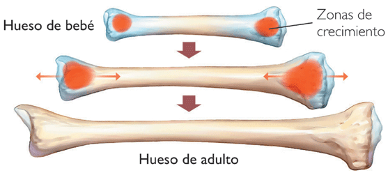 Crecimiento? de dolores ¿No sienten se