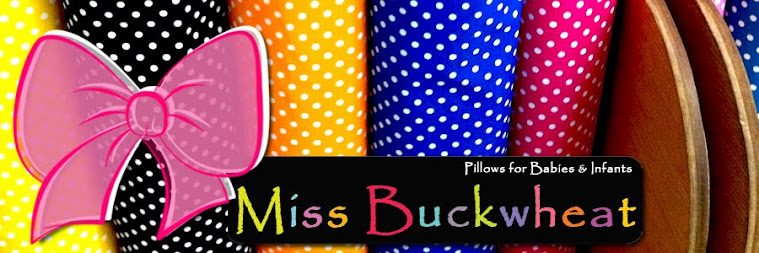 Miss Buckwheat Pillows